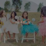 마음이 하는 말