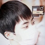 [EXO] 진짜 <b>현실판</b> 고양이 버전 아니냐