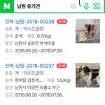 얘드라 초록창에 자기 지역 치고 유기<b>견이</b>라고 쳐봐!!