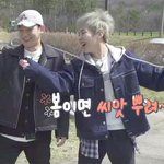 [EXO] 쿵<b>짝</b>이 잘 맞는 솜<b>김</b>들