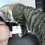 [댓글부탁해] 내가 유치원 다녔을때 기억이 없는데?