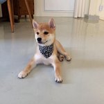 중2인데 다른 학교 인맥 없어도 ㄱㅊ아???