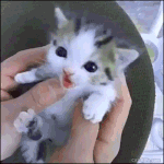 약속했던 귀신한테 화낸썰 1