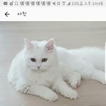[댓글부탁해] 장용준 <b>오타</b> 개귀여움 진짜,,,ㅜㅜㅜ
