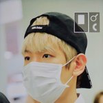[백현] 백현이 <b>입국</b> 프리뷰 2