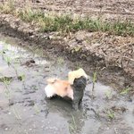 [댓글부탁해] 이 사진 <b>아무</b> <b>문제</b> 없는거야?