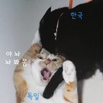 [댓글부탁해] <b>조퇴</b>하는법좀