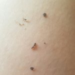 [댓글부탁해] <b>배꼽</b> <b>때</b> 평가죰