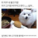 [댓글부탁해] <b>지인</b>중에 사고쳐서 결혼한 사람있다 추반