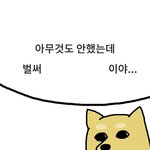 <b>면상</b> 조ㅊ같네