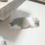 신발 이번년<b>도만</b> 화장품 4개털렸네 ㅋㄱㅋㄱㅋㄱㅋ