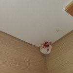 악을 보았다~~~~