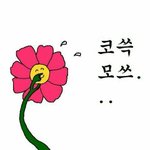 나보다 <b>양아치</b>인 학교 있냐?