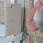 내가 왜 이렇게 상심이 크냐면~~~