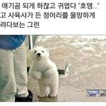 [댓글부탁해] 너네 츄리닝(?)반바지 뭐 입어?