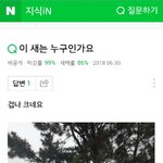 [드루와] 아 <b>지식</b>인 이거 나만웃기냨ㅋㅋㅋ