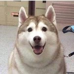 [댓글부탁해] 연보라 <b>색감</b> 이쁜티 ㅊㅊ좀
