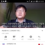 [댓글부탁해] +++)공대생가족 고양이 <b>해명영상</b>