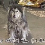[강다니엘] 워너<b>트래블</b>에서 이거 너무 똑같애