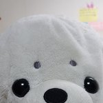 내친구 인형인데 아 겁나 귀엽지않냐 진짜 깨물어주고싶어