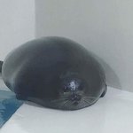 [드루와] 사귄지 3일짼데 <b>하트</b>보내는거 오바?추반