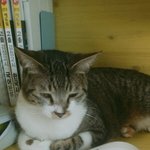 솔직히 <b>이런상황</b>에서 공부못한다 ㅇㅈ?
