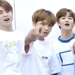 [NCT] 이동혁 마리모