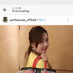 비오는 날 비닐로 된 가방<b>덮개</b>요