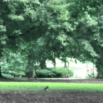 [강다니엘] 애틀란타 청설모!