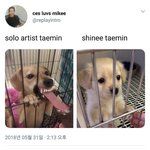 아 개웃겨ㅠㅋㅋㅋㅋㅋㅋㅋㅋㅋㅋㅋㅋ