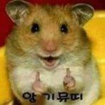 [조언부탁해] 남자 말투