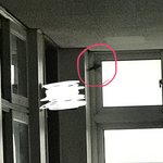 [댓글부탁해] 아니 교실 문앞에 <b>참새</b> 잇는데 어캄