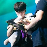 아 살려줘제발....