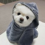 [도움글] <b>학창</b>시절 인간관계로 힘들어하는 모든 판녀들에게