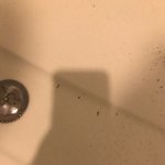 [이것좀봐줘] 더러운 jaya구서역점 가지마세요(feat.유충과...