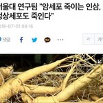[명랑엽떡] 암세포 죽이는 <b>인삼</b>의 진실