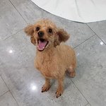 보호소 입소 석달째..