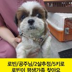 로빈이 입<b>양자</b>님 찾아요