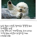 [EXO] 아쉬볼족겉다 시룜존망햣는데 티켓이랑 <b>엘리</b>디ㅣ봉와서 할맘읍슴