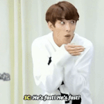 [세븐틴] 일본 예능