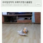 이번 기말 공부 안되지 않냐