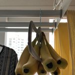 [개깊은빡침] <b>문어</b>가 된 바나나