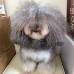예뻐지는 중...