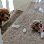 <b>Oops</b>...