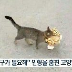 [댓글부탁해] 웹드라마 추천좀