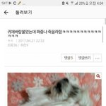 [EXO] 얘 <b>매력</b>적이다