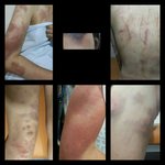 서울에서 중고생8명 여고생 서울<b>야산</b> 끌고가 집단폭행