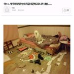 [드루와] 파데 쓰는 애들아 한번만 들어와주ㅠㅜ