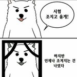 [댓글부탁해] 우리 가족 너무 힘들어