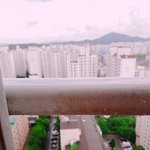 [ㅠㅜㅠㅠ] 어ㅏ 나 <b>머릿니</b>있는듯 ㅅㅂ..